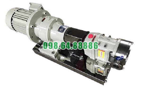 Máy bơm cánh khế 3RP-20 áp suất 0.6 MPa tốc độ quay 750 vòng/phút công suất 2.2kW